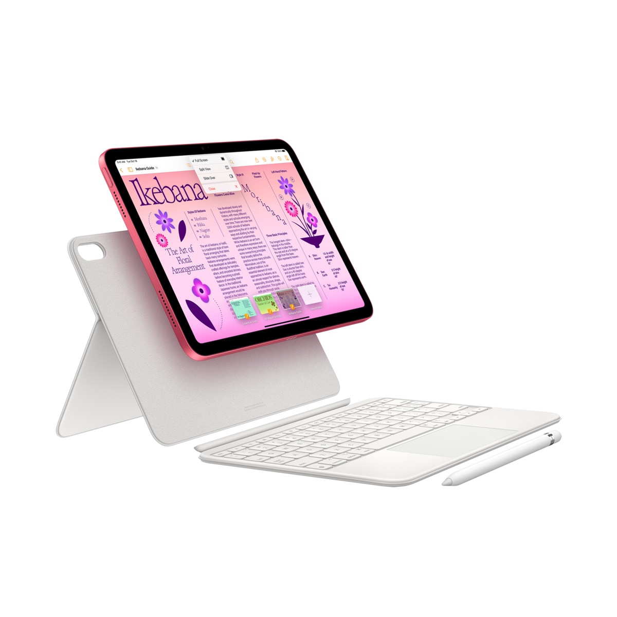 10.9-inch iPad 10th Generation