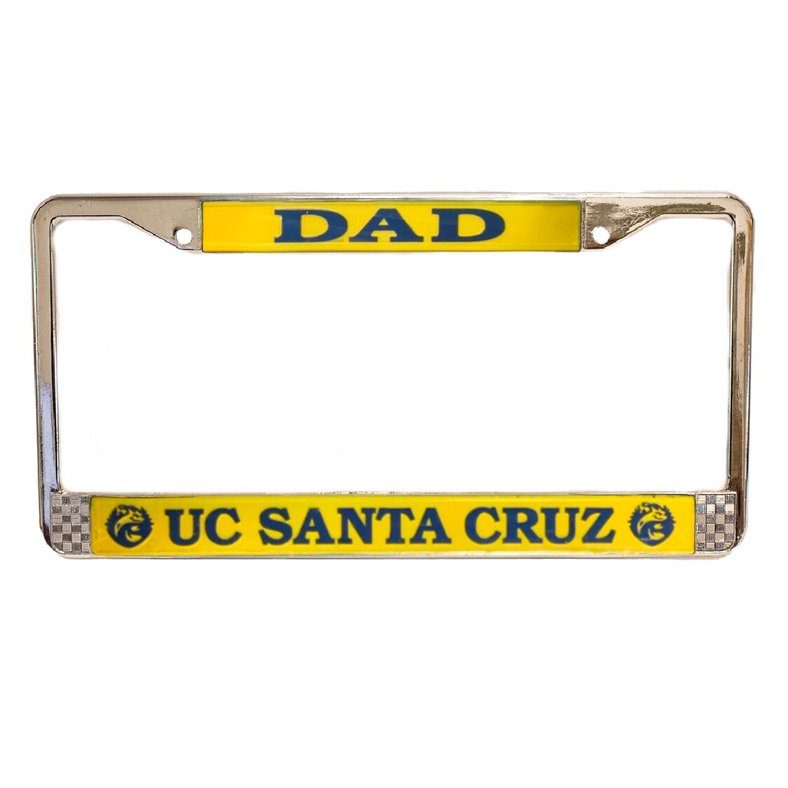 DAD SANTA CRUZ FRAME