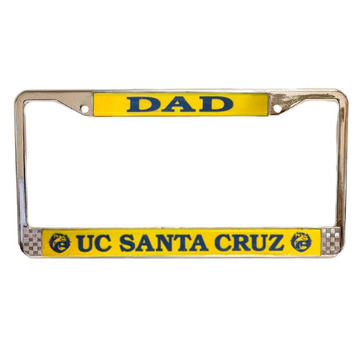 DAD SANTA CRUZ FRAME
