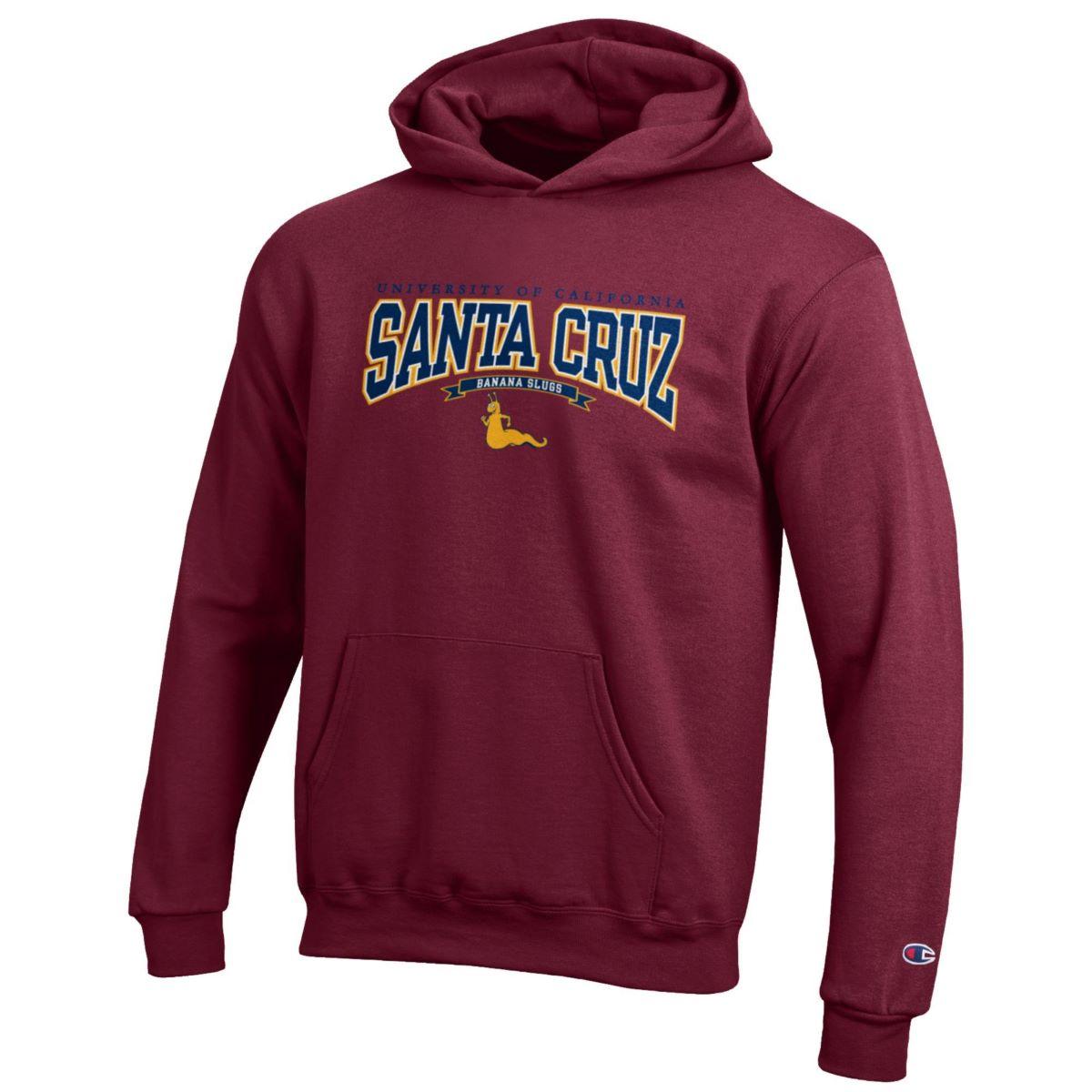 Ucsc hoodie 2024