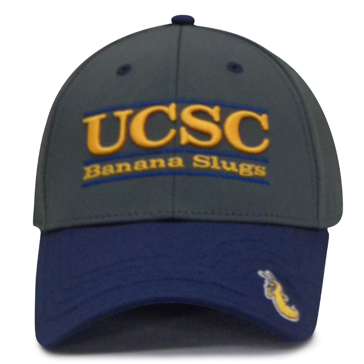 uc santa cruz banana slugs hat